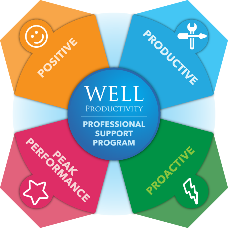 Well Productivity Professional Support Program Model